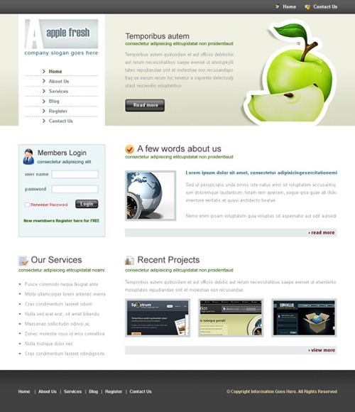 Website laten maken met Web 2.0 Style 172 webdesign